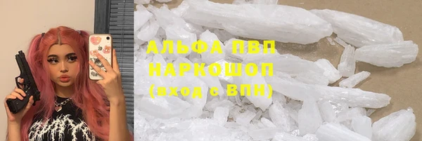 СК Медногорск