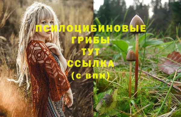 соль курить ск Майский