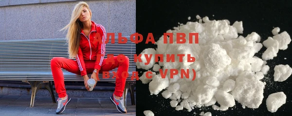 СК Медногорск